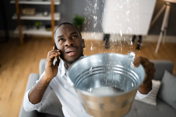 Best Sewage cleanup and water damage restoration  in Mentone, CA