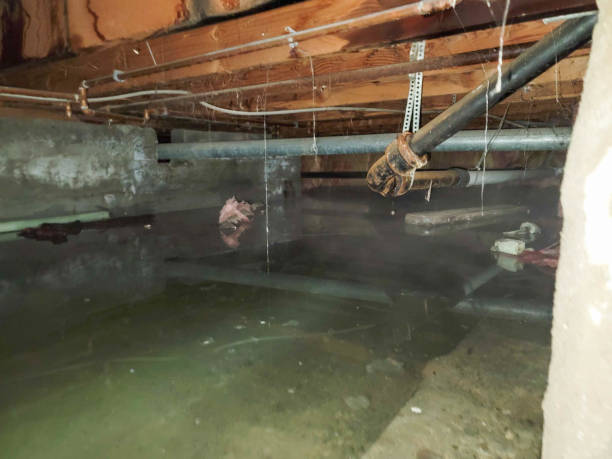 Best Water damage restoration insurance claims  in Mentone, CA