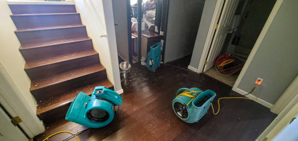 Best Emergency water extraction  in Mentone, CA