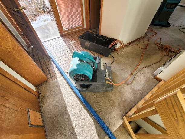 Best 24-hour water damage restoration  in Mentone, CA