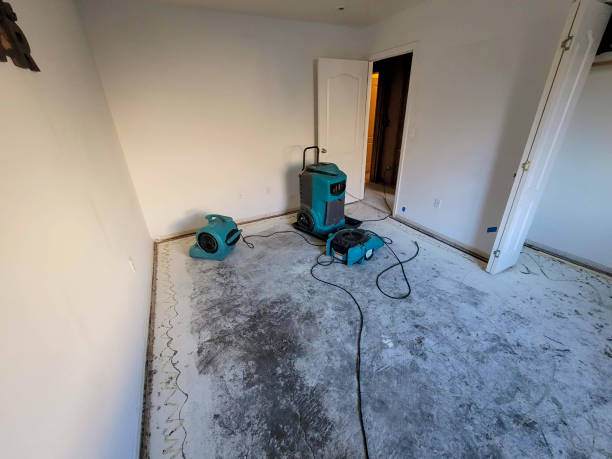 Best Basement water damage restoration  in Mentone, CA