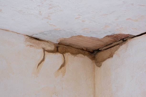 Sewage cleanup and water damage restoration in Mentone, CA