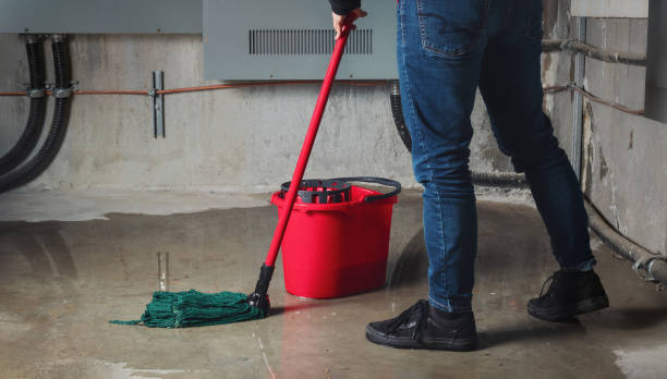 Water damage restoration insurance claims in Mentone, CA