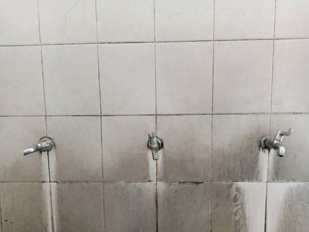  Mentone, CA Water damage restoration Pros