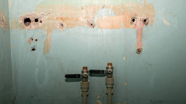 Best Residential water damage restoration  in Mentone, CA