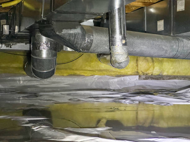Best Water damage restoration near me  in Mentone, CA