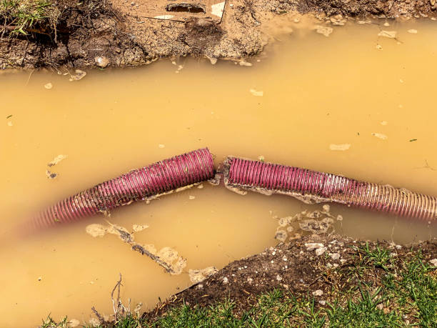 Water damage restoration mold remediation in Mentone, CA
