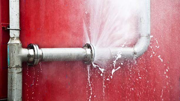 Best Carpet water damage restoration  in Mentone, CA